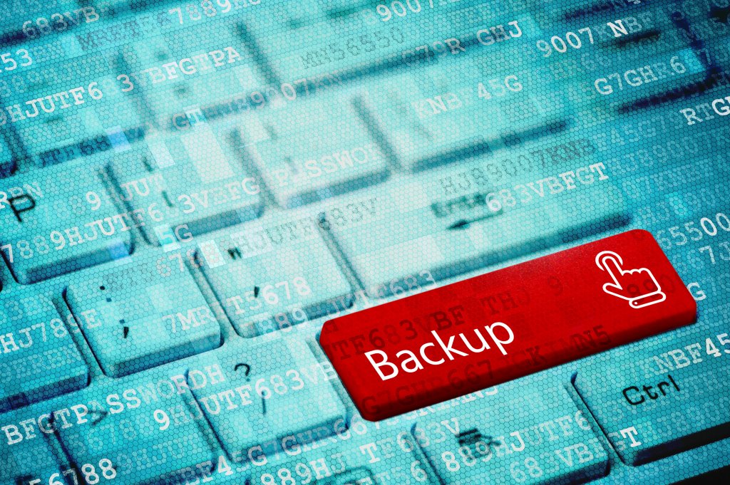 Website backups allow you to revert to an old version of your site before problems arose